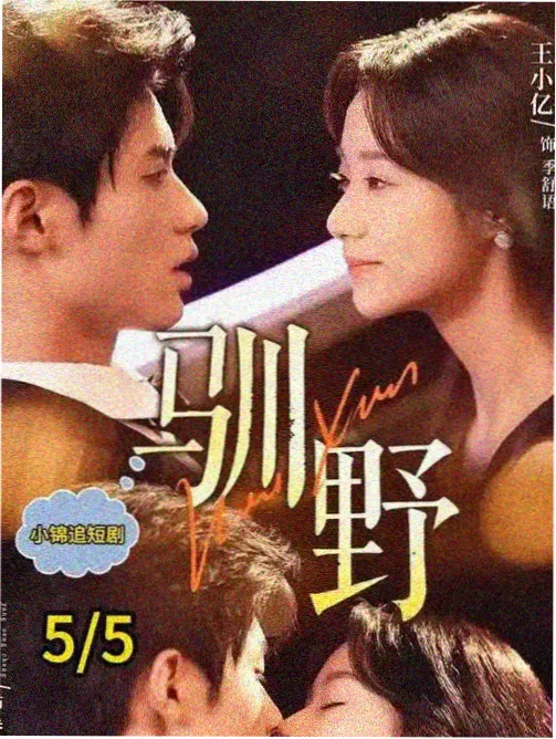 FB-15 多层翻板式大型烘干机翻板传动资料图